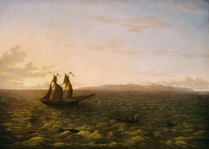 La isla de Madeira de John Glover